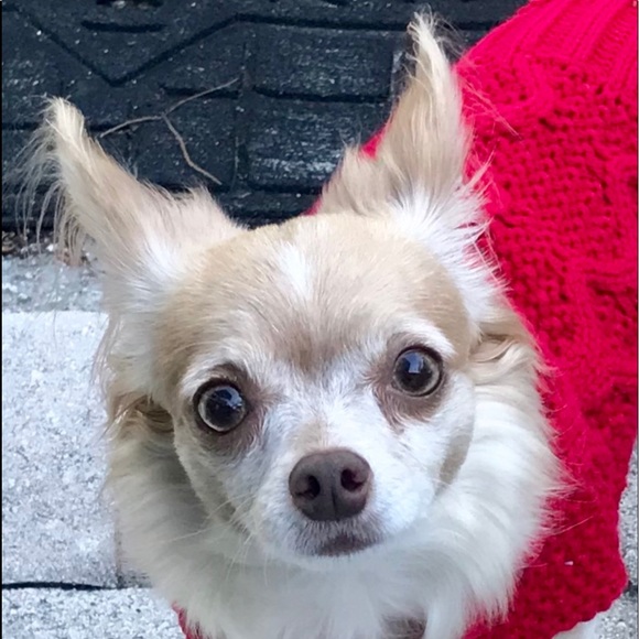 Meet your Posher, Darragh - Picture 6 of 8